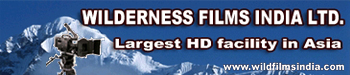 banner wilderness banner01.jpg